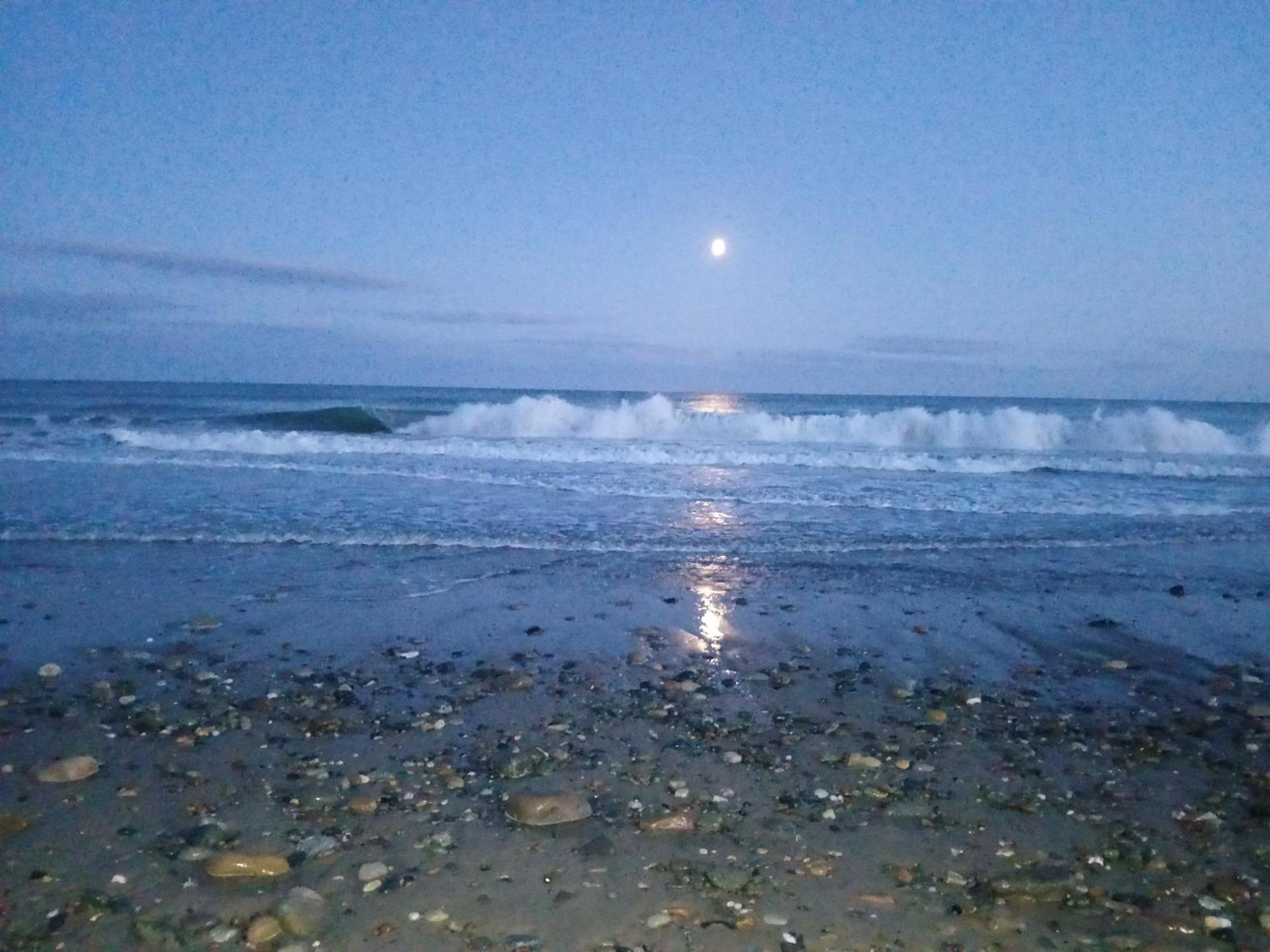 Ollie's Den Wexford