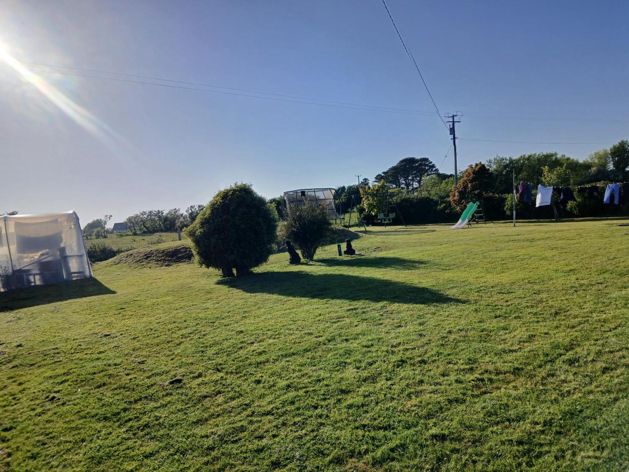 Ollie's Den Wexford